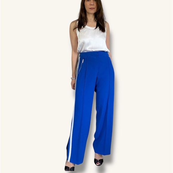 Ted Baker London Blue Stripe Pants - Picture 1 of 14